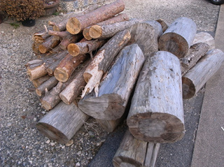 R0017238.JPG